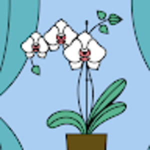 Meet your Posher, Mindy